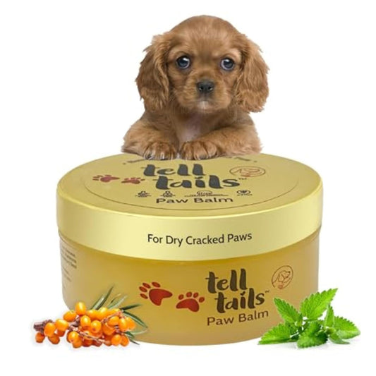 Paw Cream for Dogs - 50gm | Hydrates & Conditions Paws