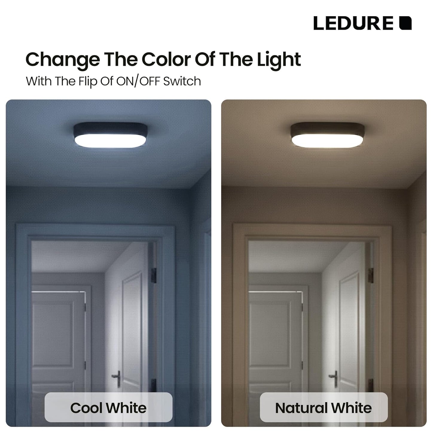 LEDURE 10W Zyro LED Bulkhead Light