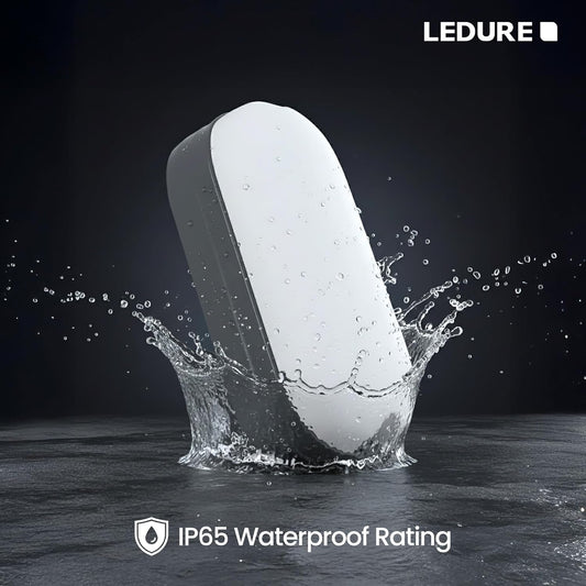 LEDURE 10W Zyro LED Bulkhead Light