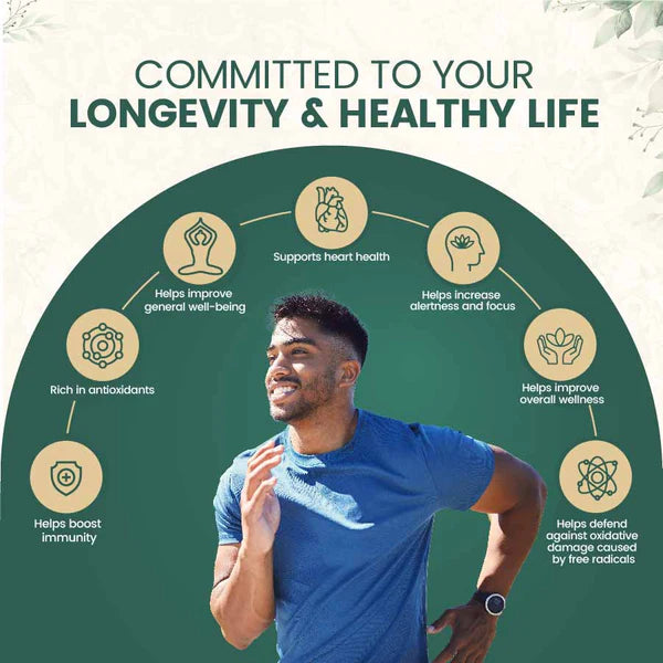 Maharishi Ayurveda Amrit Kalash – Ayurvedic Immunity Booster (Combo Pack)