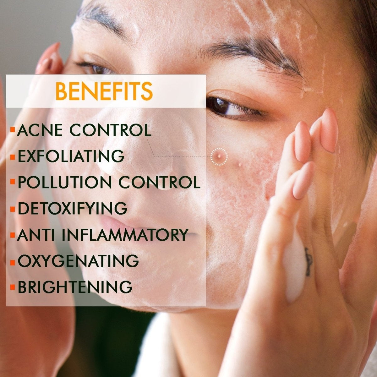 Detoxifying Gentle Facewash | 100g